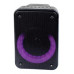 WIRELESS SPEAKER KTS-1109 4"